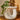 Flower vase and lamp on table