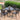 Traditional Bronze Aluminum Armed Dining Chairs