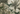 Vintage Tropical Forest Palm Trees Banana Leaf Wallpaper