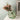 Glass Bag Flower Vase