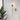 Glass Wall Sconce