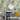 Botanical Floral pattern wallpaper Mural