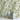 Botanical Floral pattern wallpaper Mural