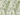 Botanical Floral pattern wallpaper Mural