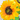 Sunflower LED USB Rechargeable Table Lamp