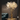 Copper Large Ginkgo Tree Floor Lamp