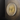 Gold Round Decorative LED Wall Lamp
