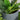 13/11.5/9" Outsunny Dark Gray Planter Set with Drainage Holes - Set of 3