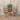 11/13/15" Brown Round Bamboo Planters 