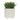 8" Modern White Ceramic Textured Planter