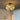 caged ceiling fan - CharmyDecor