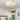 remote control ceiling lamp-fan