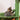 15" Green Full Wrapped Sisal Cactus Cat Tree