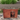 45.7" Golden Outdoor Wooden Dog Kennel