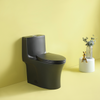 28.5" Matte Black Ceramic Dual Flush Elongated Soft-Close Toilet Seat Bowl