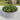 Round Raised Metal Garden Bed Kit