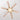Modern Ceiling Fan with Light