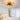caged ceiling fan - CharmyDecor