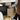 13 Gallon Trash Can - CharmyDecor