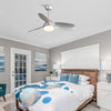 42" Silver Ceiling Fan with Light, Remote Control, 6-Wind Speeds, 3 ABS Blades & Reversible DC Motor
