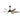 Modern Ceiling Fan - CharmyDecor