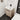 24" Freestanding Light Oak Bathroom Vanity with White Resin Sink