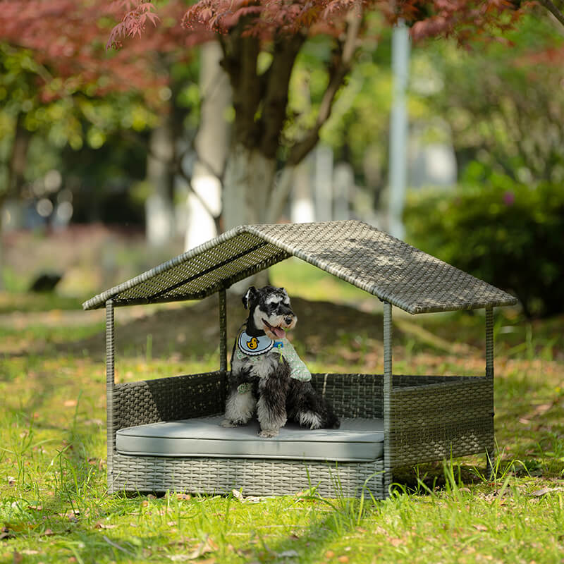 Wicker dog clearance house