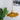 Kitchen Pendant Lamps