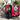 Dog Trailer with Reflectors and Safety Flag