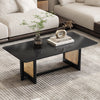 47.20" Modern Black Solid Wood Coffee Table with Double Layers