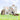 5-in-1 Coffee Color Slide and Swing Set Playground for Kids with Drawing Board - 81 inches