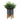5" Matte Gray Ceramic Planter On Wooden Stand