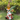 Garden Gnome Statues - CharmyDecor