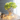 Greek Goddess Planter