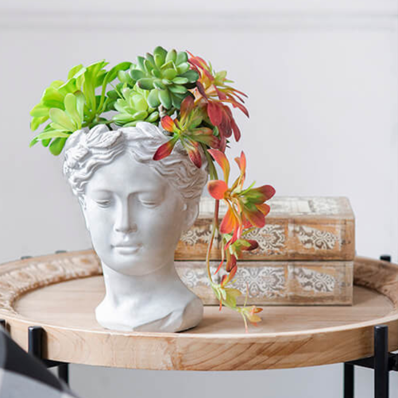 greek head planter pot 6x9 Greek Goddess Cement Head Planter for Indoor Gardens