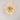 mounted lighting fixture