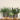 8" Modern Matte Gray Ceramic Plant Stand with Brown Wood Leg