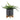 8" Modern Matte Gray Ceramic Plant Stand with Brown Wood Leg