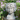8" x 11.5" Greek Goddess Cement Bust Wall Planter