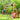 95" Playground Wooden Swing Set with Orange Slide - Outdoor Playset
