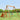 95" Playground Wooden Swing Set with Orange Slide - Outdoor Playset