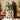Walnut Tropical Art Armoire