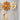 Daisy Wall Mounted Coat Rack