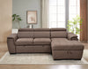 Dark-Brown Sectional Couch with Pull Out Bed and Storage