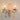 Bright Rainbow Crystal Candle Wall Sconce