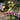 Frog Garden Statue - Charmydecor