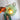 Upclose view of the green glass pendant light showing, green glass floral lamp shade and illuminating Light bulb