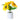 Sunflower LED USB Rechargeable Table Lamp