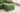 Green Modular Cloud Sofa with Ottoman