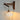 Dimension image of the Plug in Wall Lamp in Walnut and White